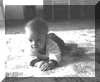 crawling.gif (99284 bytes)